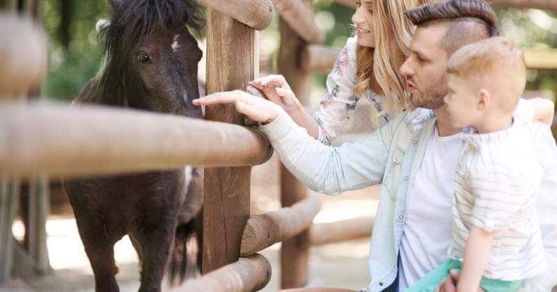 Freepik/gpointstudio